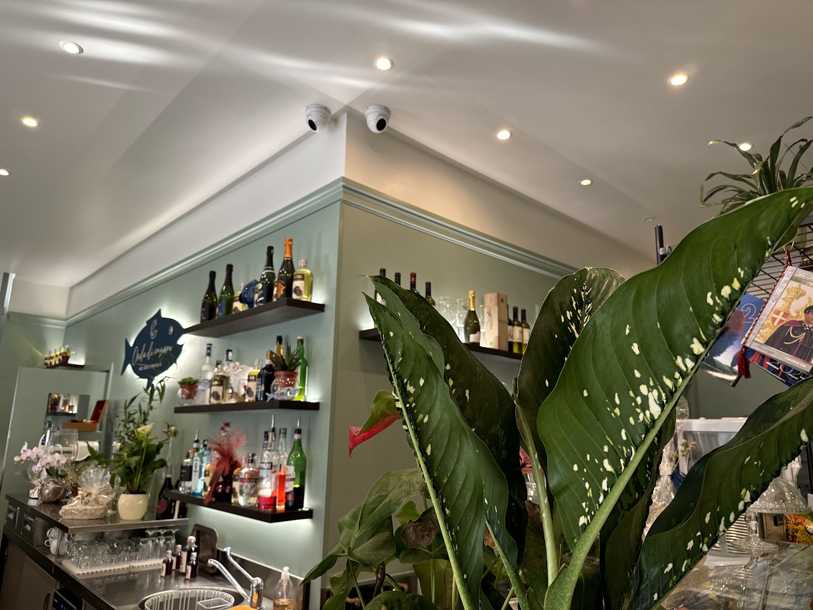 Onda di Sapore — photo 2